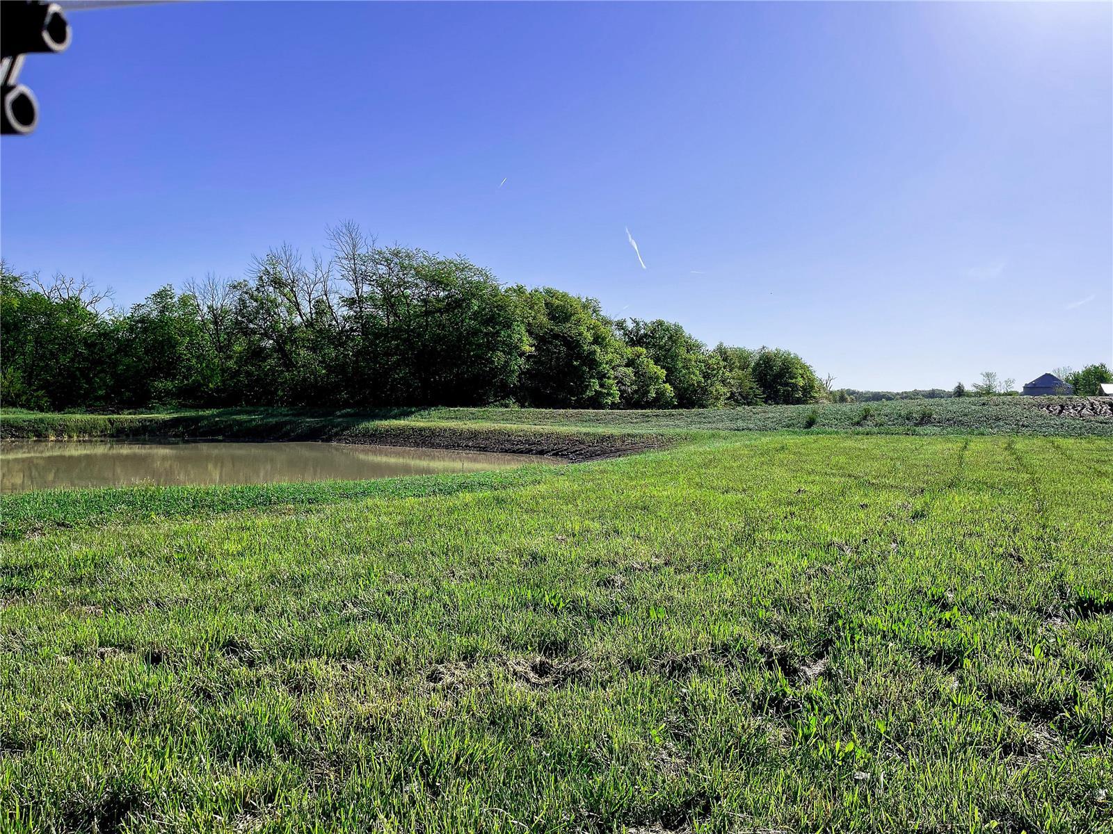 20006 Diamond Springs Road Carlyle, IL 62231 - Photo 8 of 15