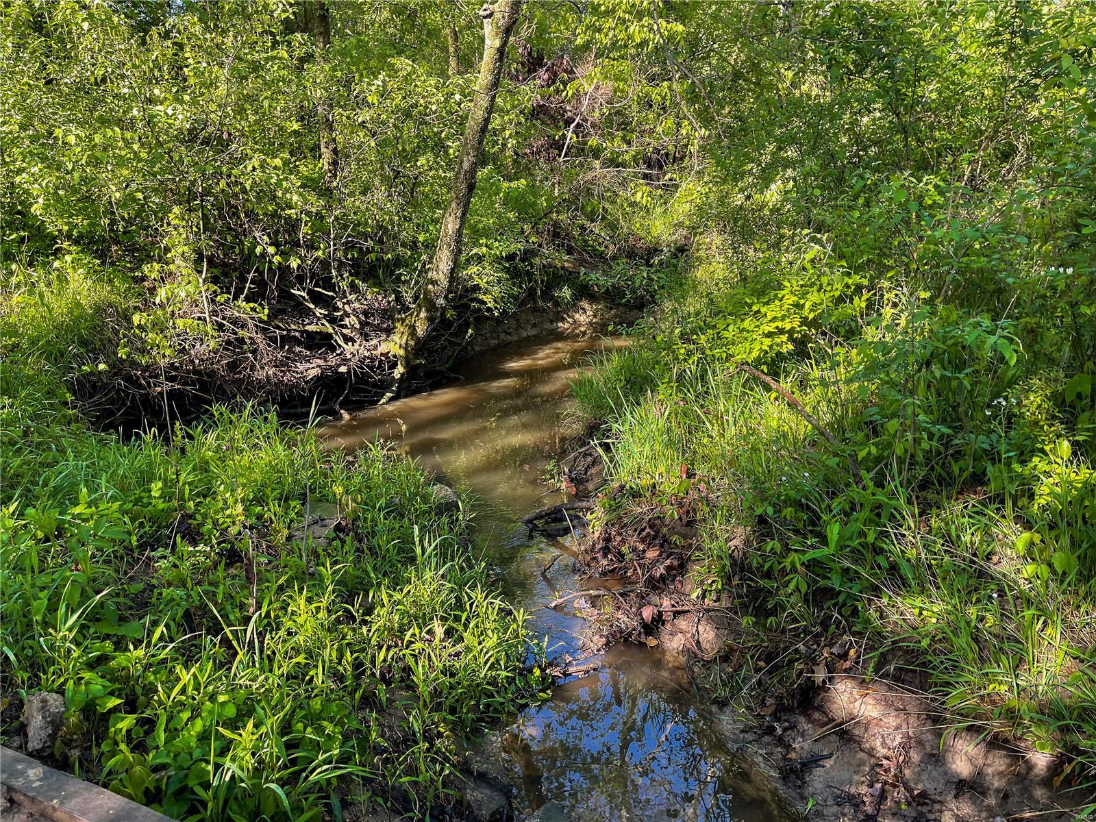 20006 Diamond Springs Road Carlyle, IL 62231 - Photo 10 of 15