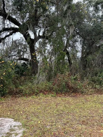 a view of a yard with plants and trees