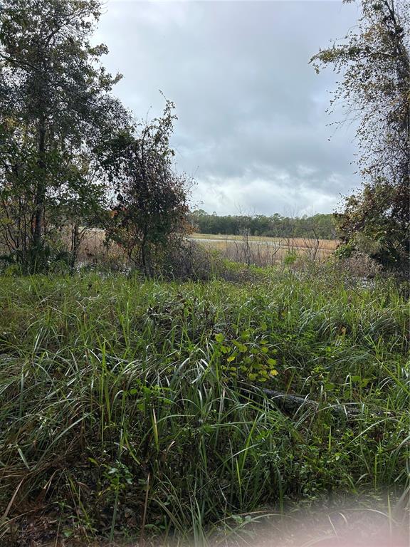 Emporia Road Pierson, FL 32180 - Photo 3 of 5