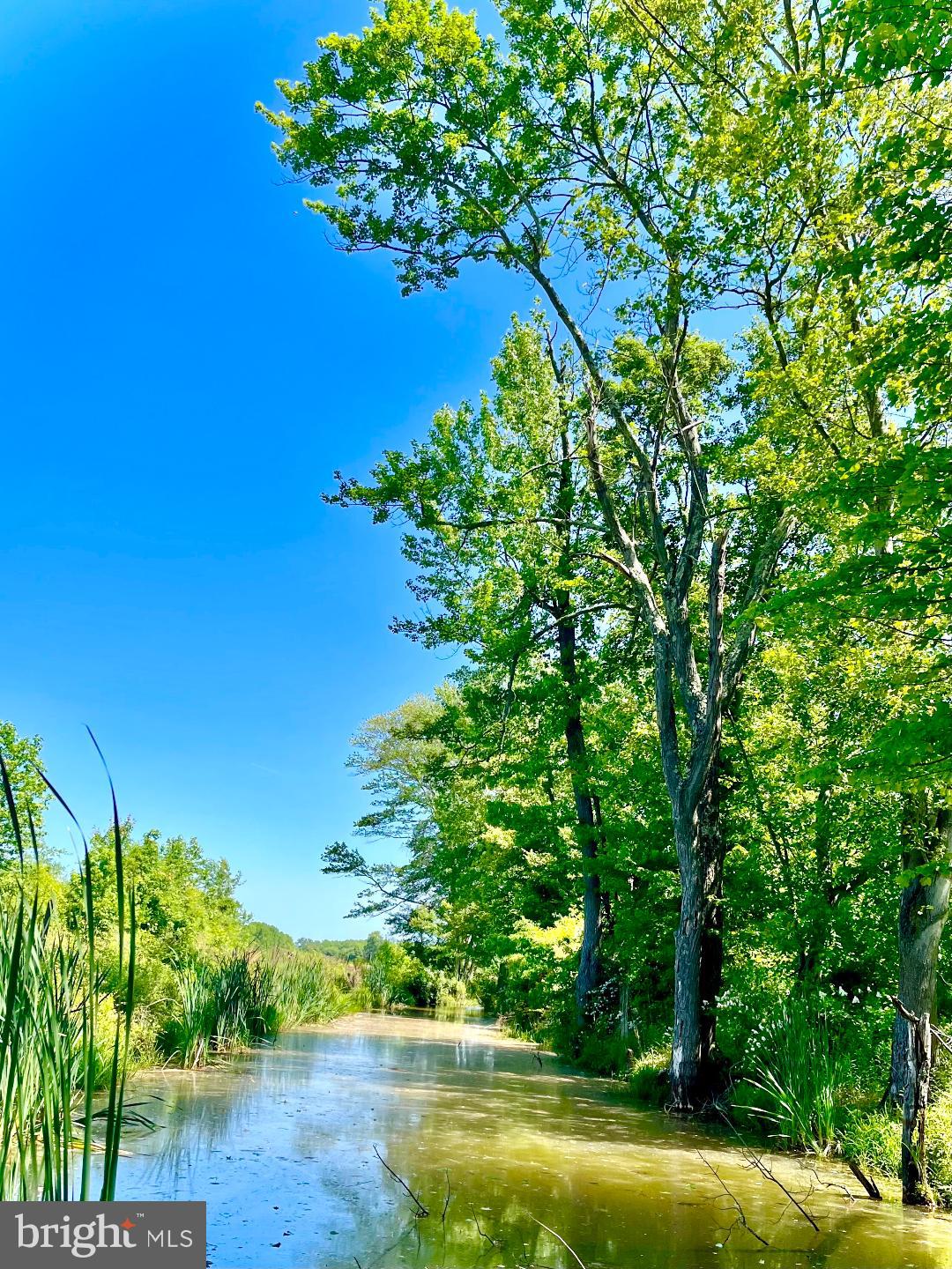 248 Bordentown Chesterfield Road Chesterfield, NJ 08515 - Photo 11 of 16