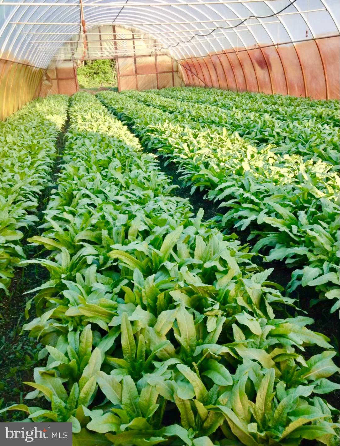 248 Bordentown Chesterfield Road Chesterfield, NJ 08515 - Photo 3 of 16