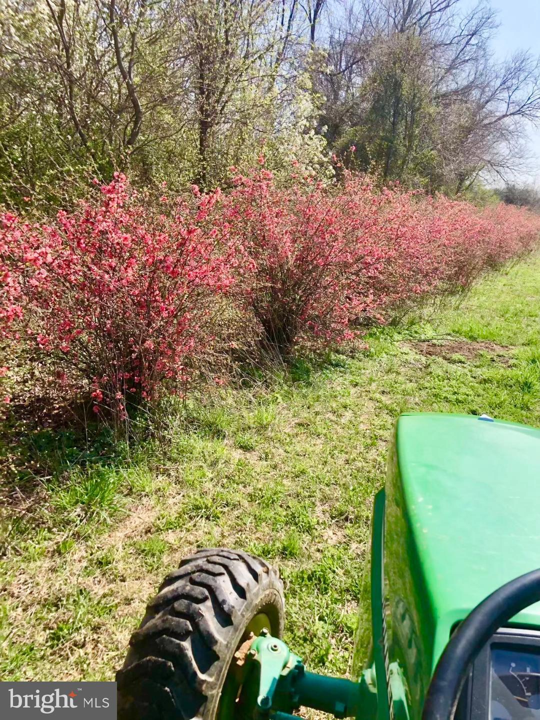 248 Bordentown Chesterfield Road Chesterfield, NJ 08515 - Photo 4 of 16