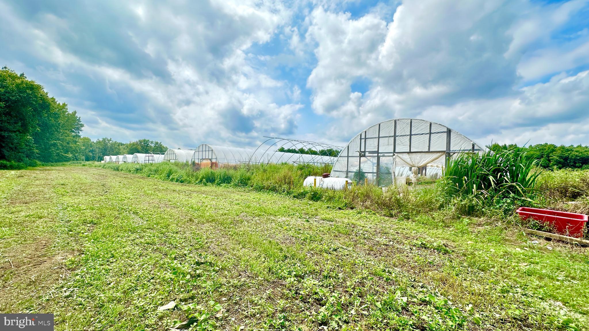 248 Bordentown Chesterfield Road Chesterfield, NJ 08515 - Photo 5 of 16