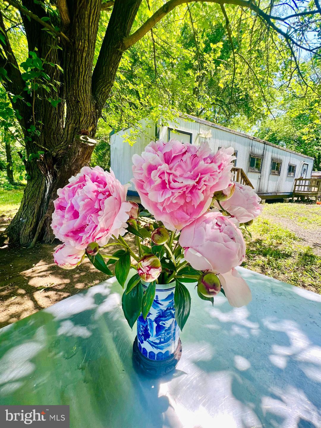 248 Bordentown Chesterfield Road Chesterfield, NJ 08515 - Photo 8 of 16