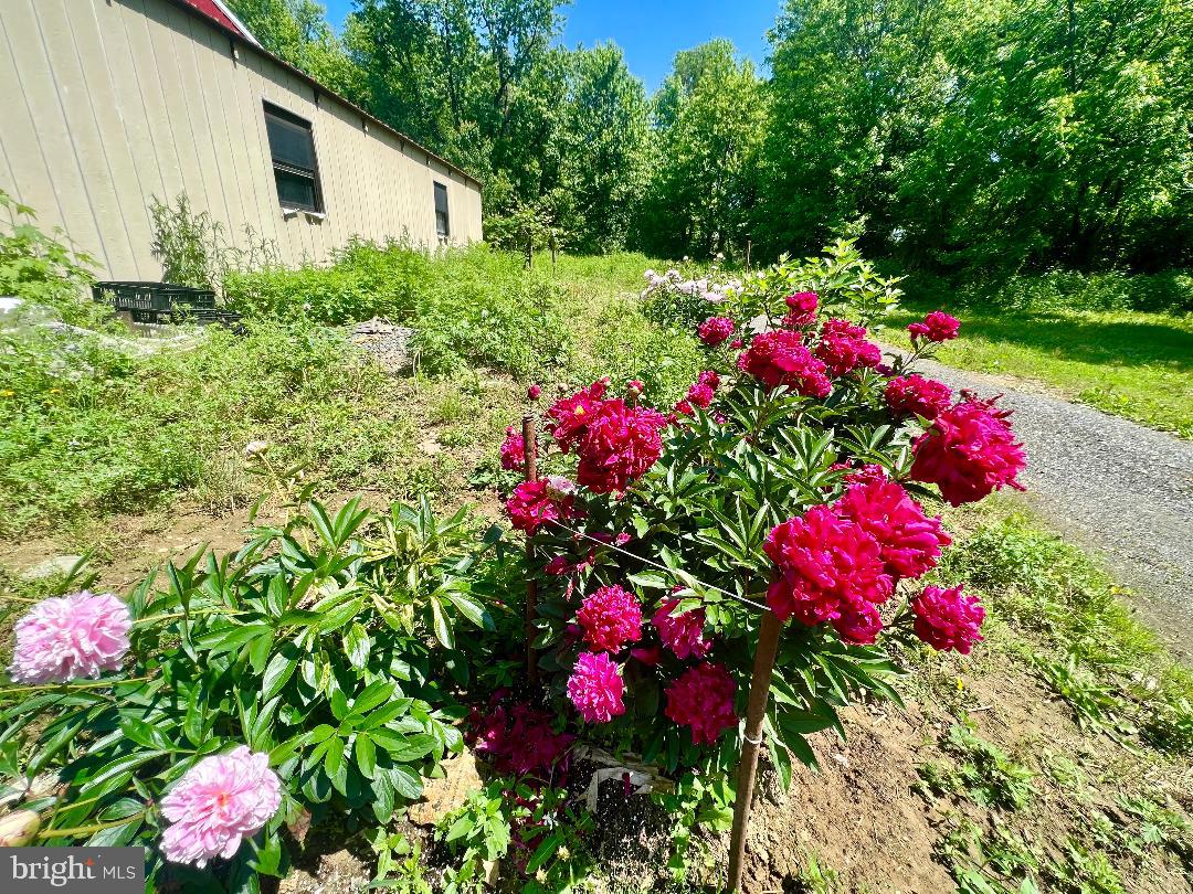 248 Bordentown Chesterfield Road Chesterfield, NJ 08515 - Photo 10 of 16
