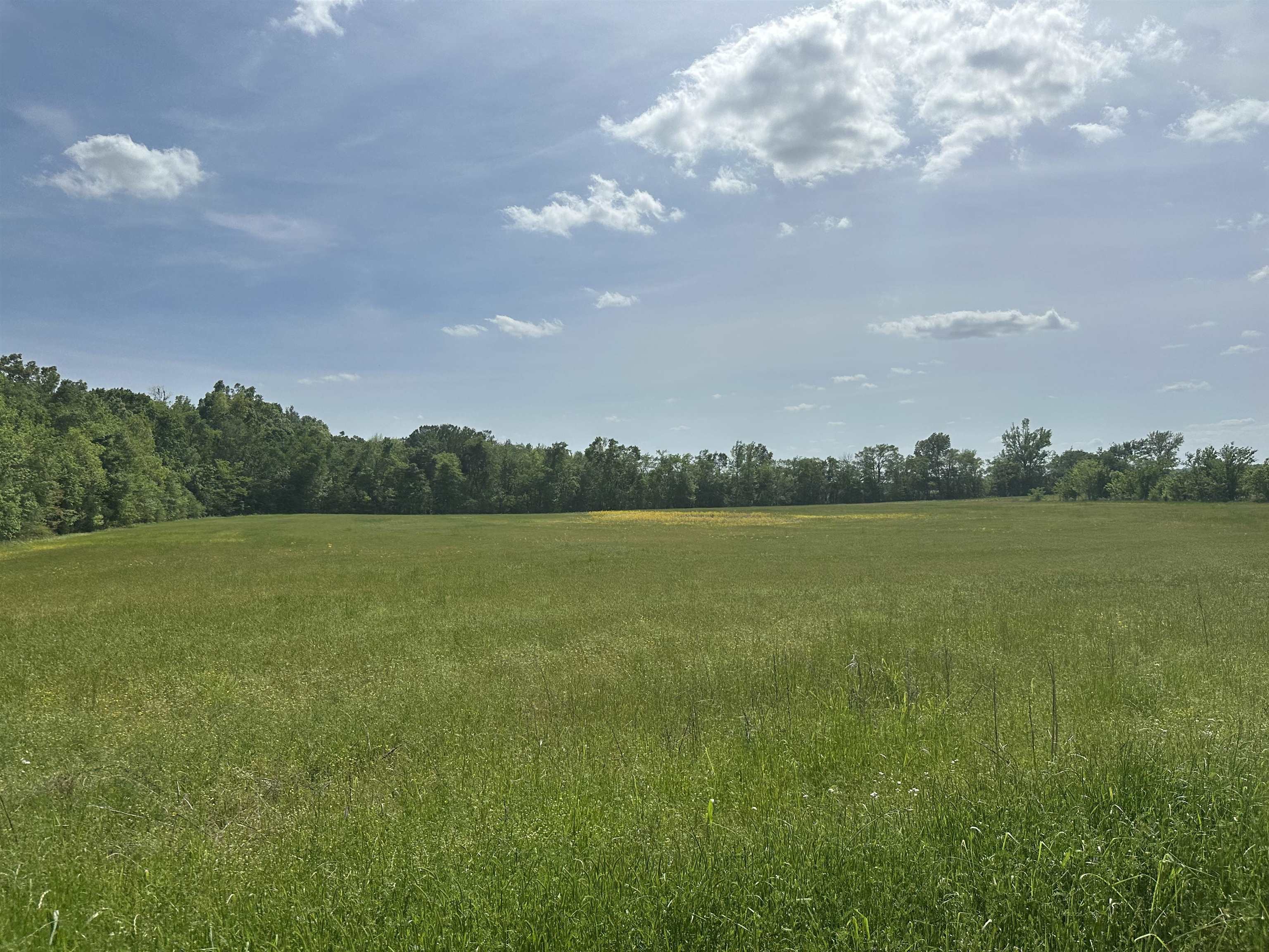 0 Clifton Road Savannah, TN 38372 - Photo 1 of 7 Gallery Image 1