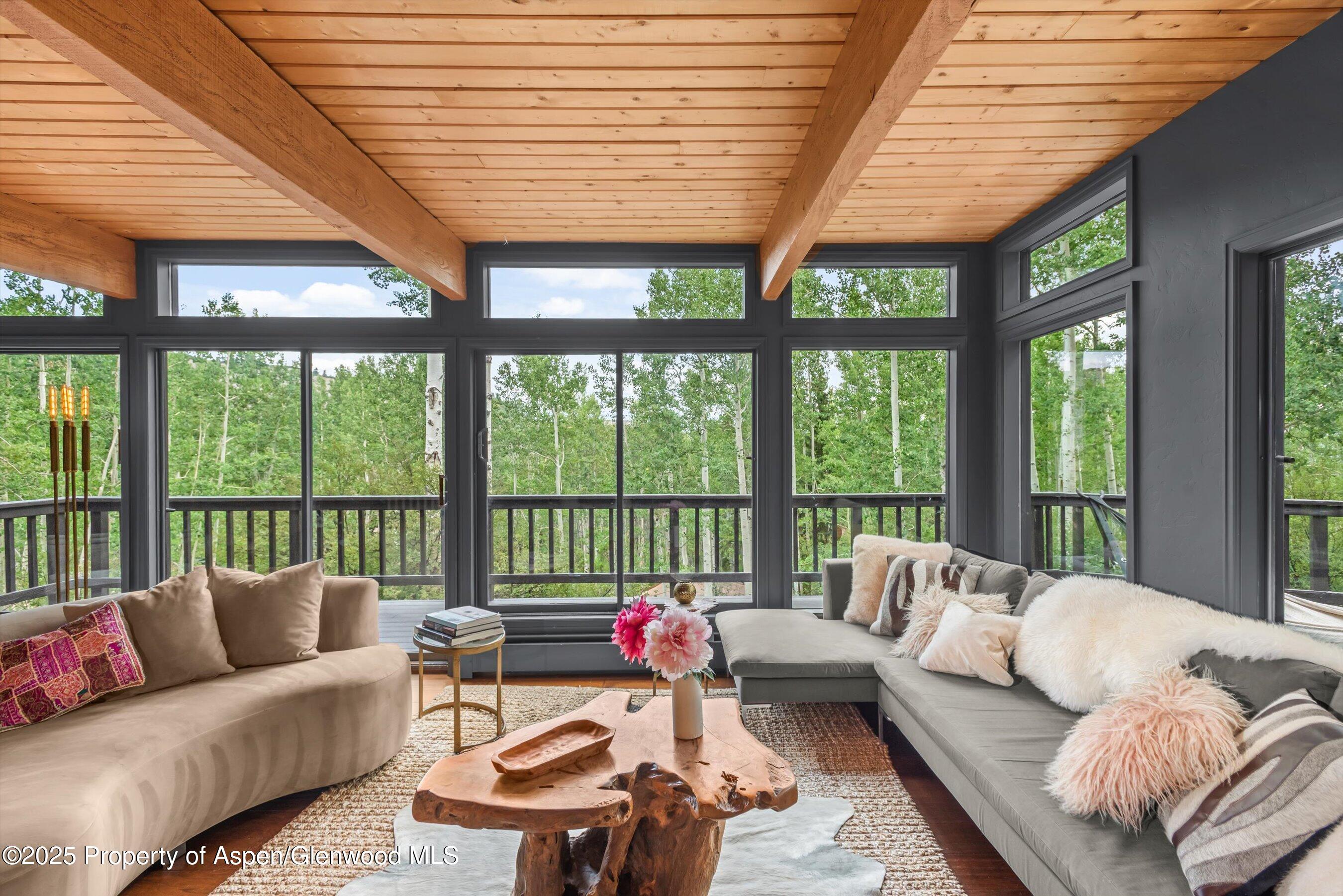 49 Elk Ridge Lane Snowmass Village, CO 81615 - Photo 2 of 38 a living room with furniture and a large window