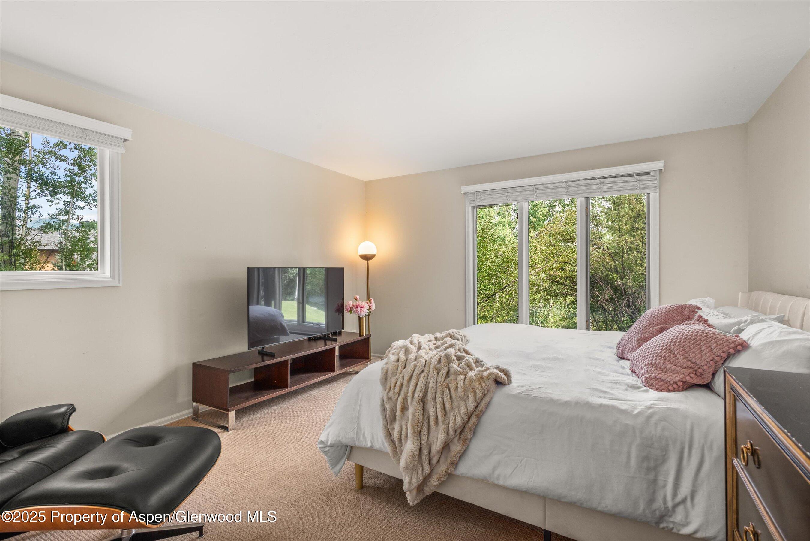 49 Elk Ridge Lane Snowmass Village, CO 81615 - Photo 30 of 38 a bedroom with a bed and a television