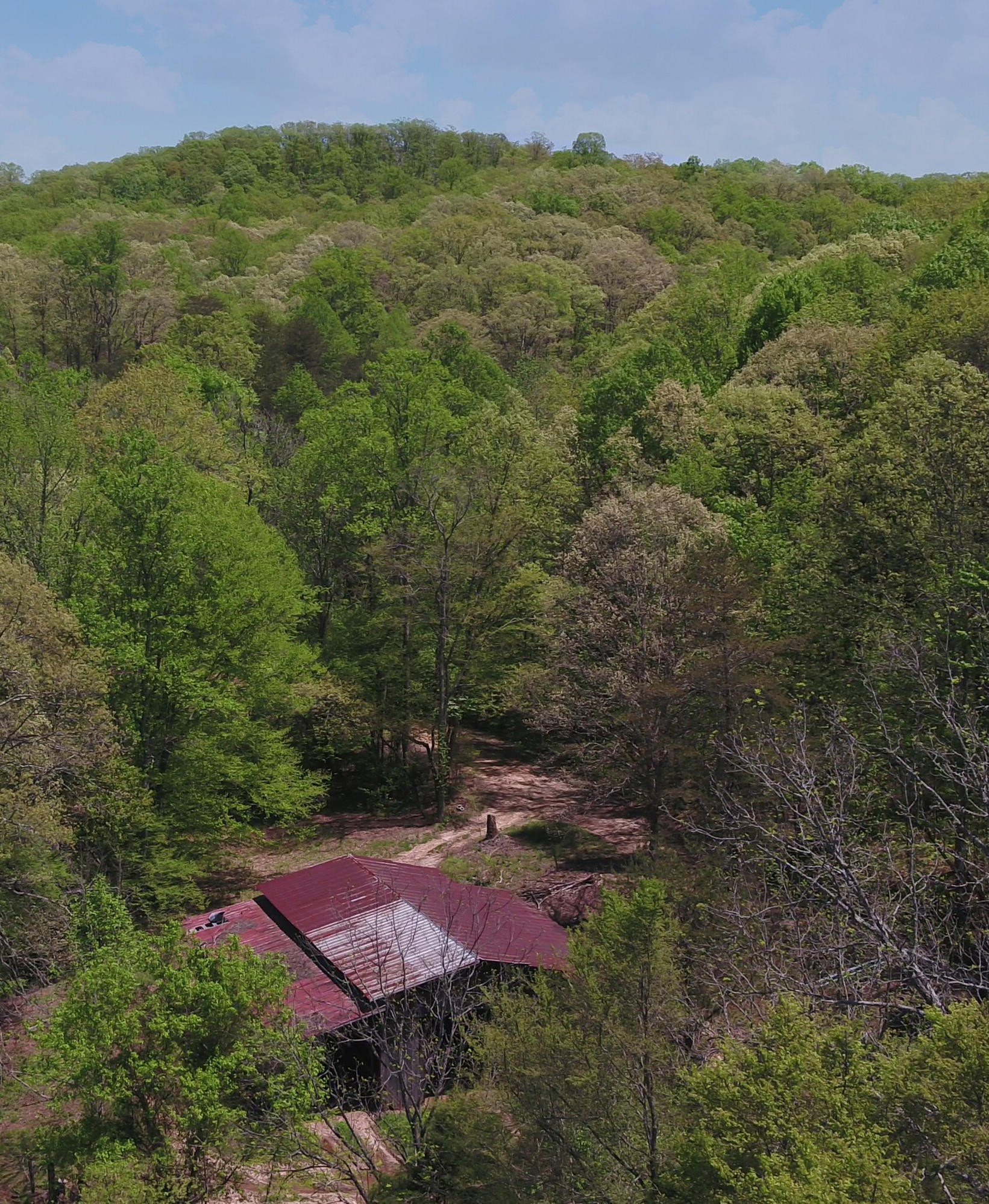 128 Jim Grasson Road Spring City, TN 37381 - Photo 2 of 7 Gallery Image 2
