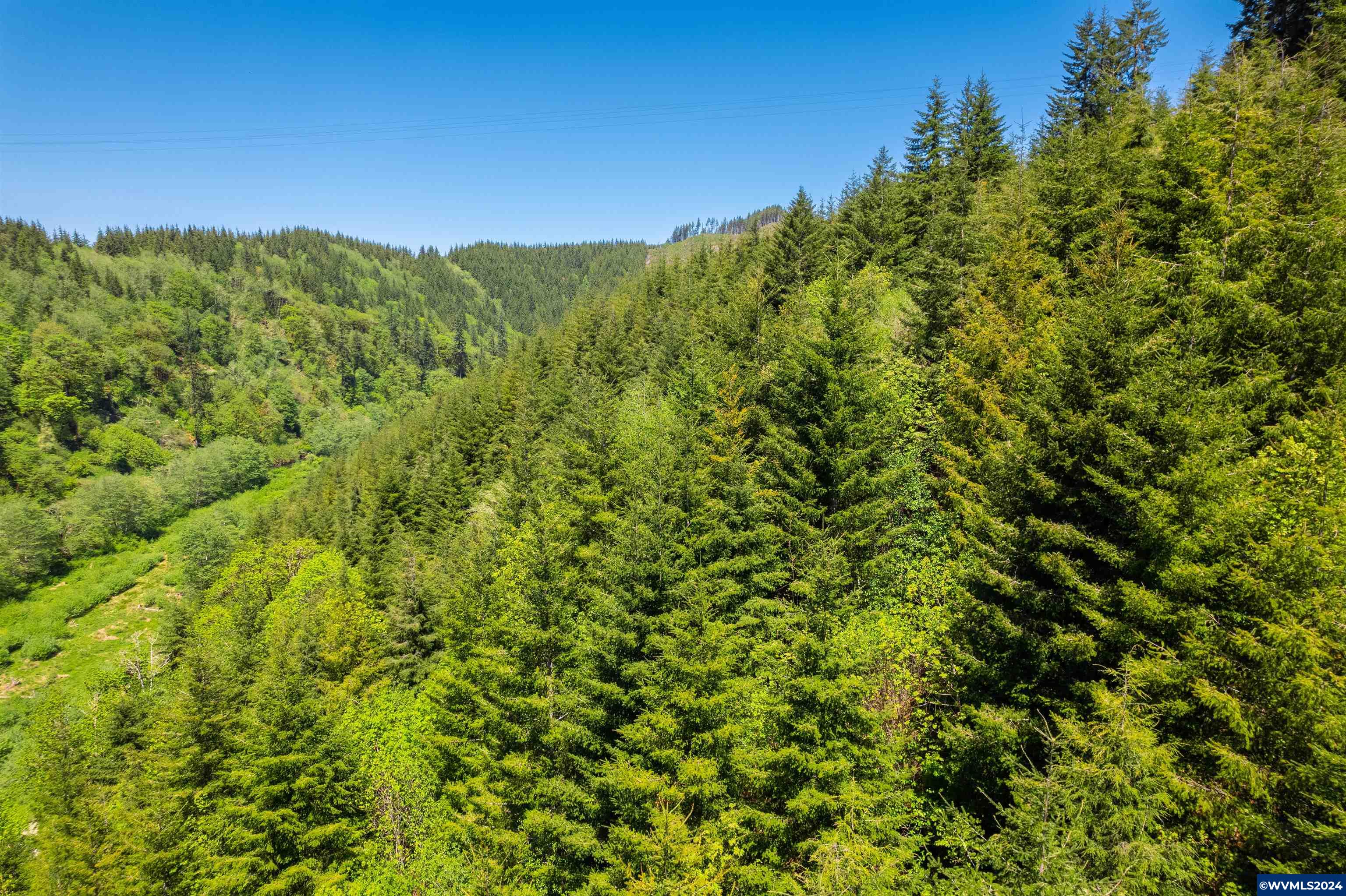 0 Harlan Road Toledo, OR 97391 - Photo 8 of 27