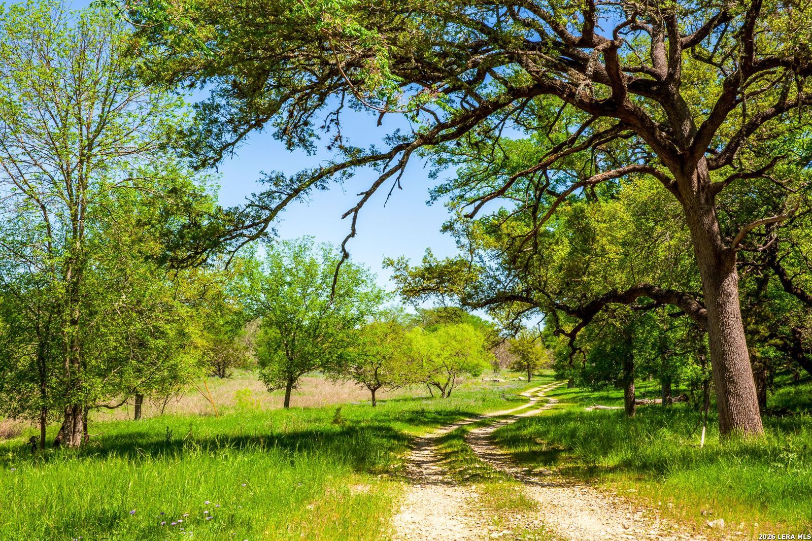 567 Bear Creek Road Ingram, TX 78025 - Photo 4 of 10