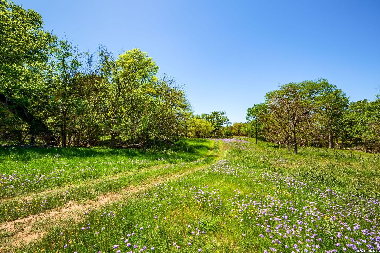 567 Bear Creek Road Ingram, TX 78025 - Photo 5 of 10