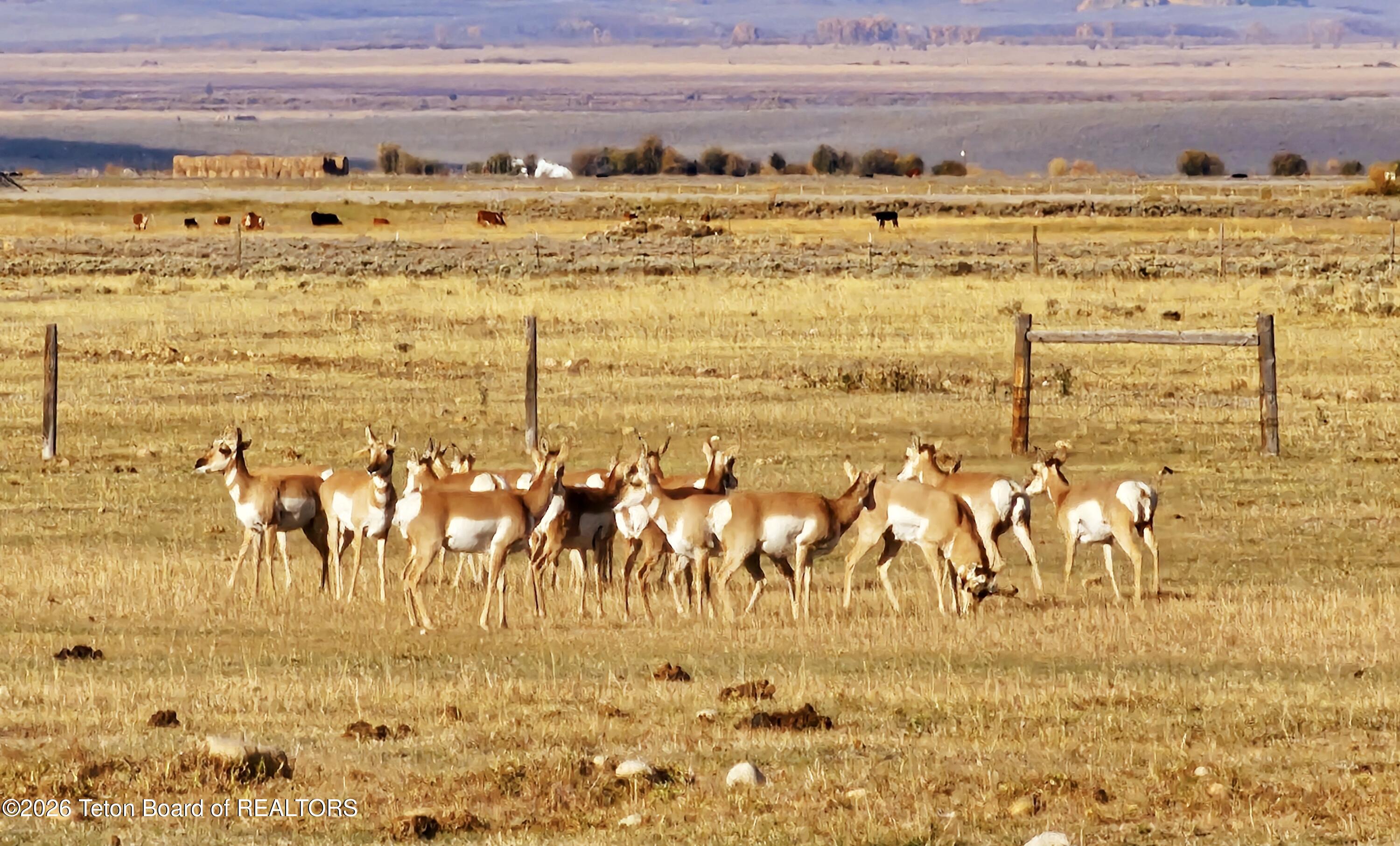 138-2 Forty Rod Road Pinedale, WY 82941 - Photo 64 of 77 20240929_091138