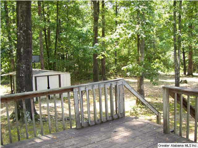 902 Rock School Road Harpersville, AL 35078 - Photo 8 of 16