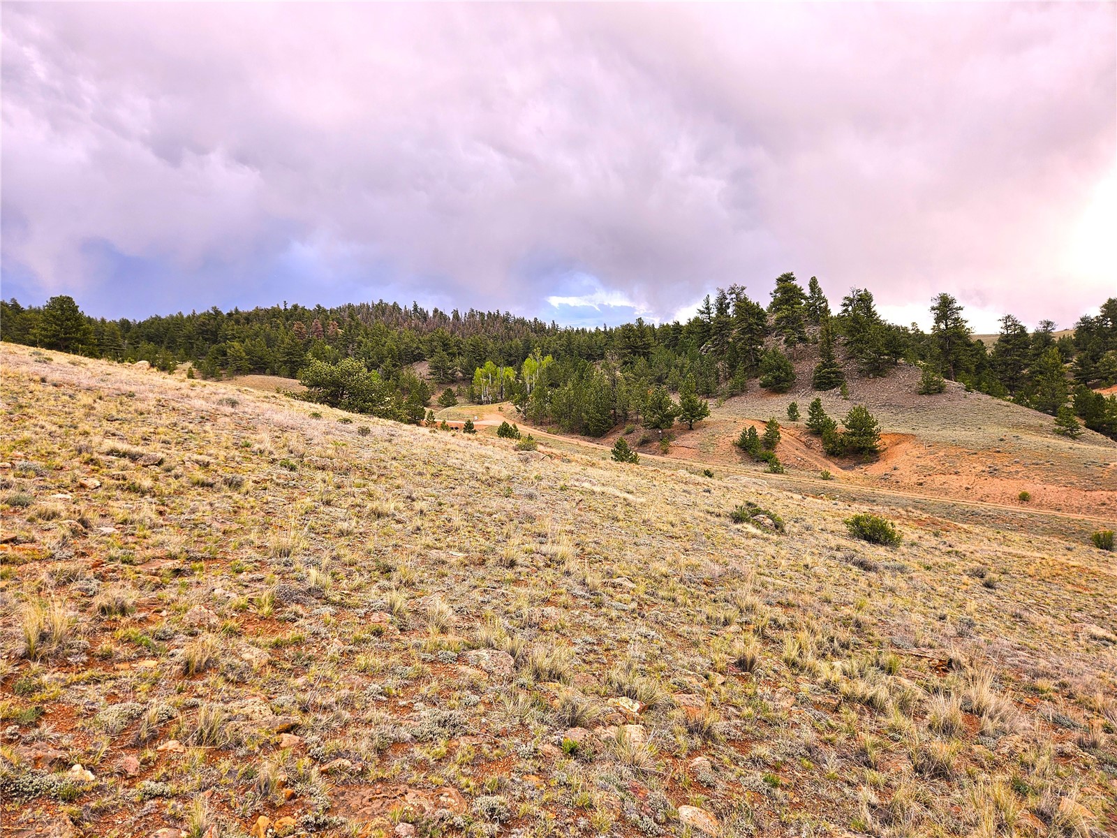 Pcs#25251 Fernando Trail Hartsel, CO 80449 - Photo 26 of 29