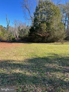 7982 Leedstown Road Colonial Beach, VA 22443 - Photo 3 of 4 Gallery Image 3