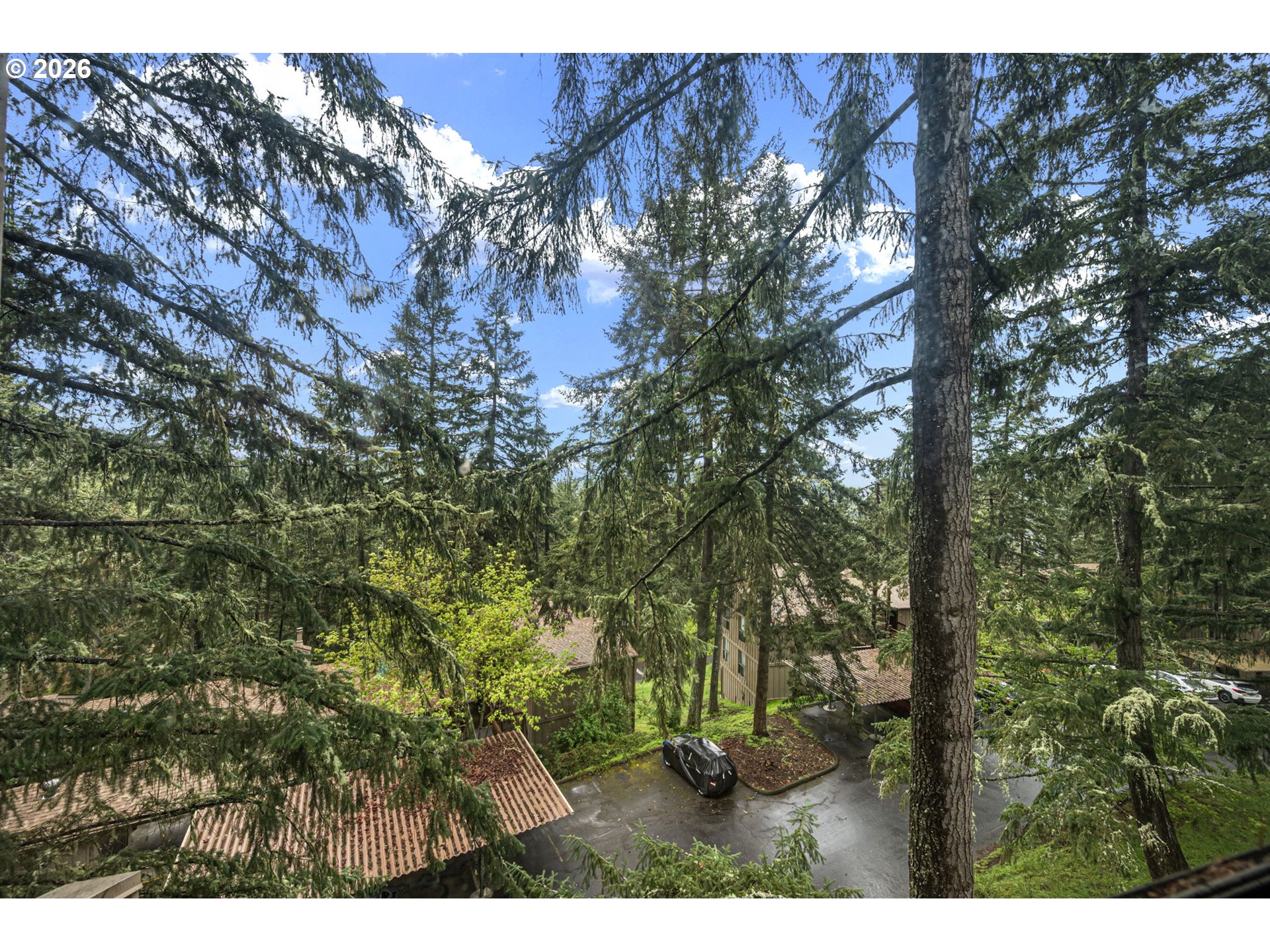 149 Treehill Loop Eugene, OR 97405 - Photo 30 of 40 View