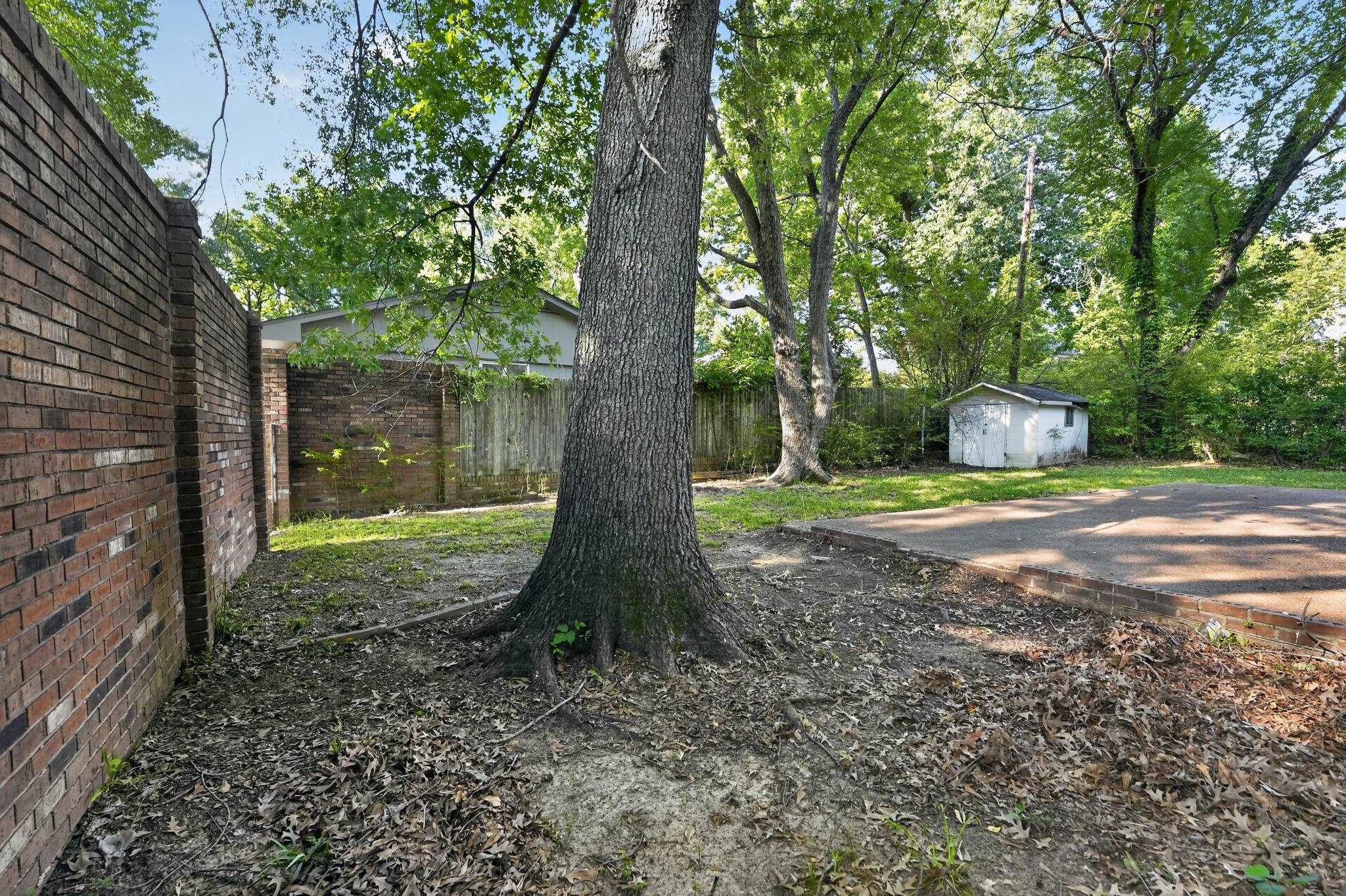 2015 East Holmes Road Memphis, TN 38116 - Photo 8 of 34 a view of a yard with plants and a small yard