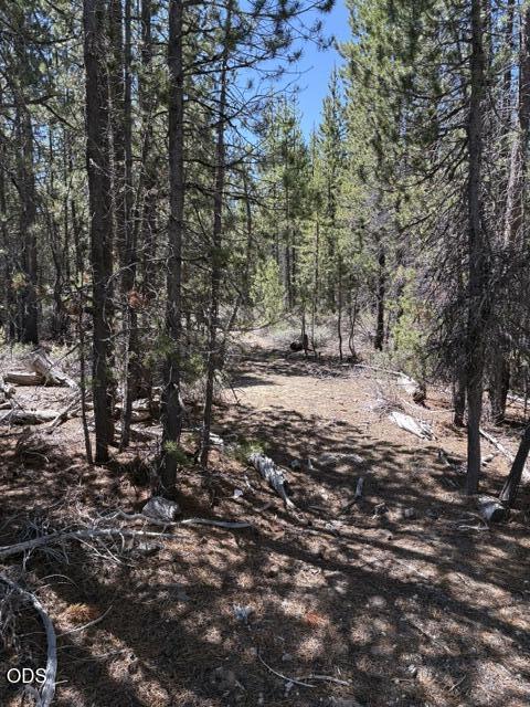 123415 Surveyor Road Crescent Lake, OR 97733 - Photo 51 of 53