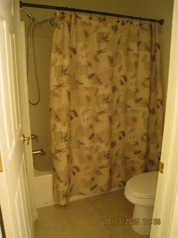 a white toilet sitting next to a shower curtain