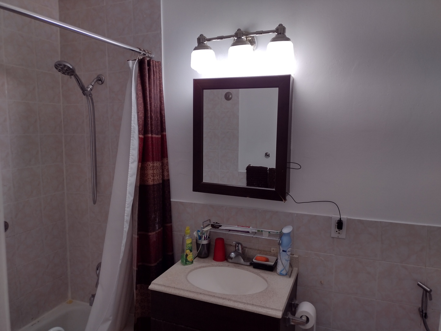 25 South Oltendorf Road Streamwood, IL 60107 - Photo 21 of 41