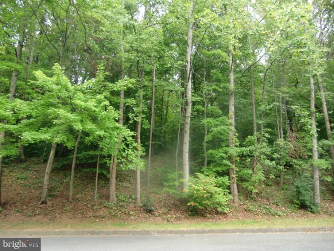 5606 Kirkham Court Springfield, VA 22151 - Photo 2 of 24 View