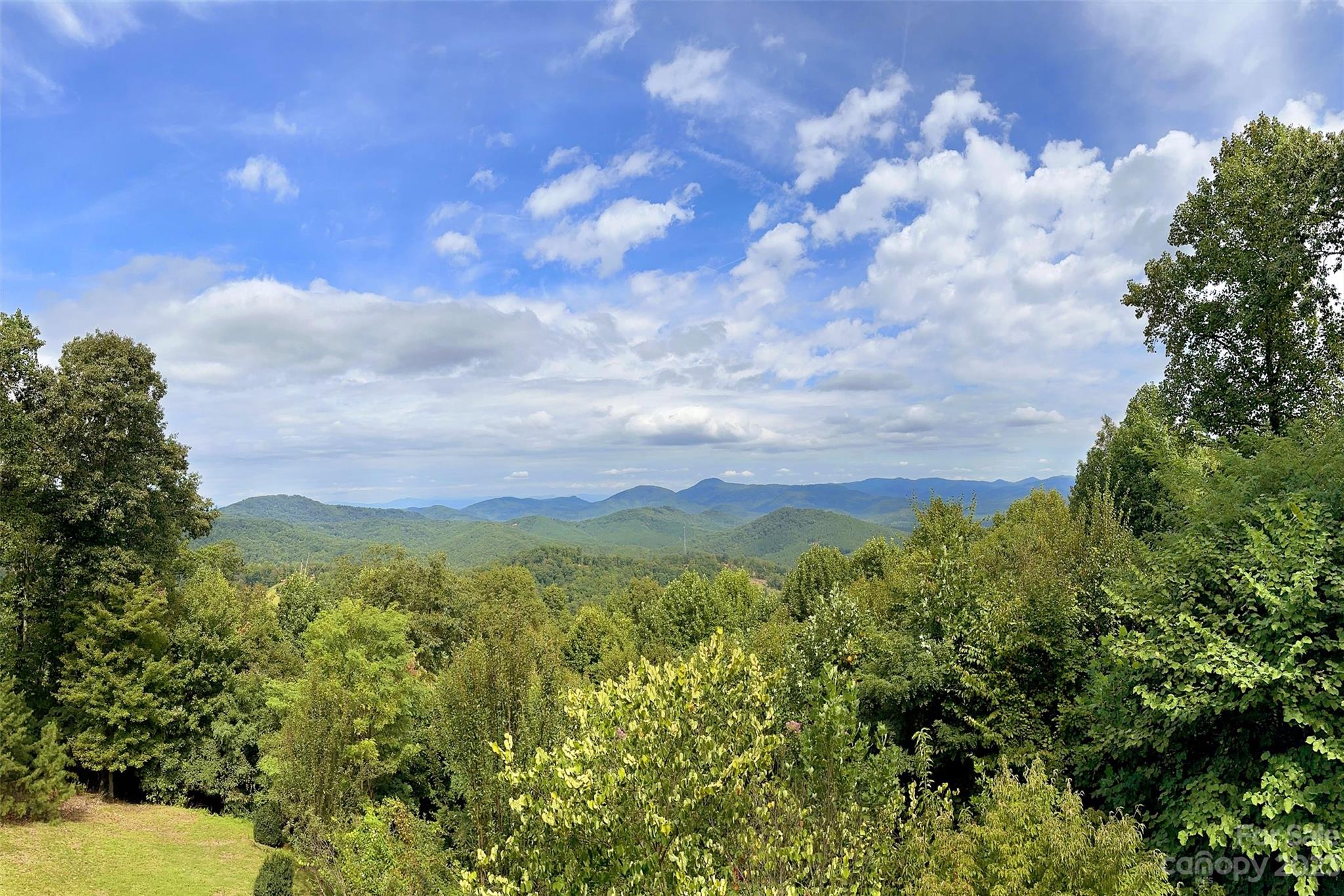 152 Coady Ridge Bostic, NC 28018 - Photo 43 of 48 Gallery Image 43