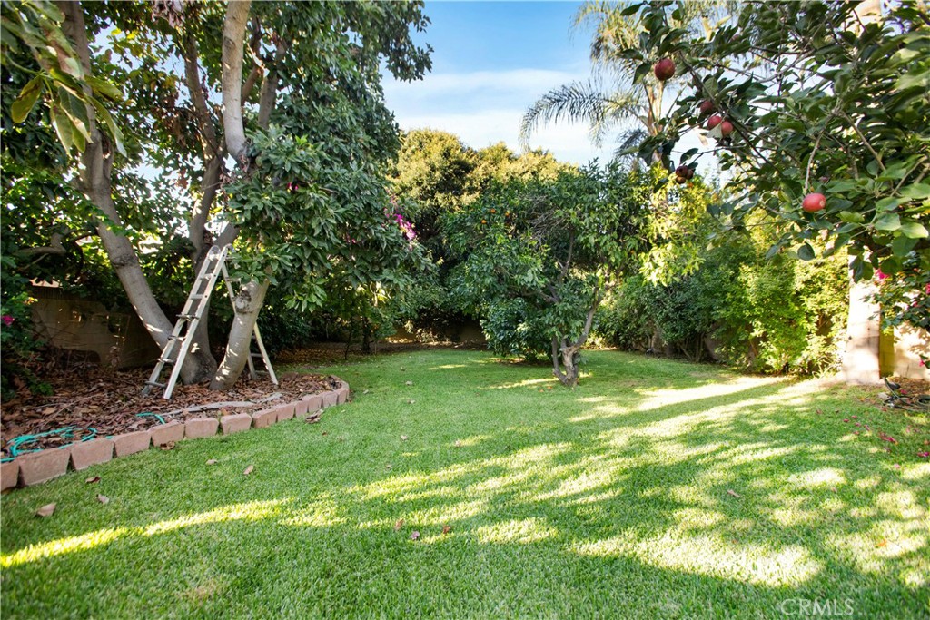 9253 Rose Street Bellflower, CA 90706 - Photo 30 of 36 a view of a backyard with a slide