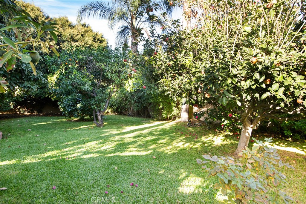 9253 Rose Street Bellflower, CA 90706 - Photo 31 of 36 a view of a tree in a yard