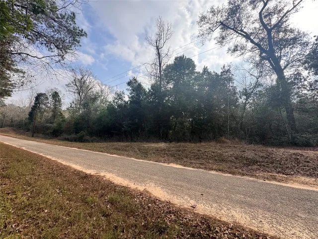 a view of a yard with large trees
