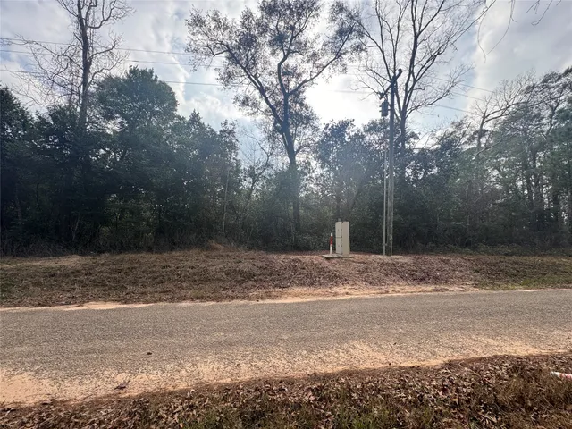 a view of a yard with large trees