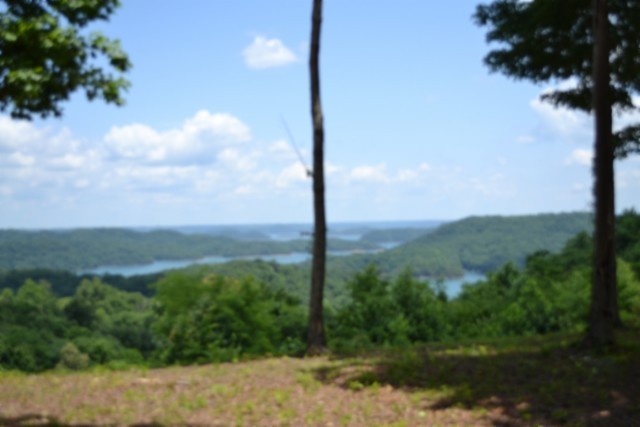 0 Rock Fish Road East Celina, TN 38551 - Photo 21 of 27