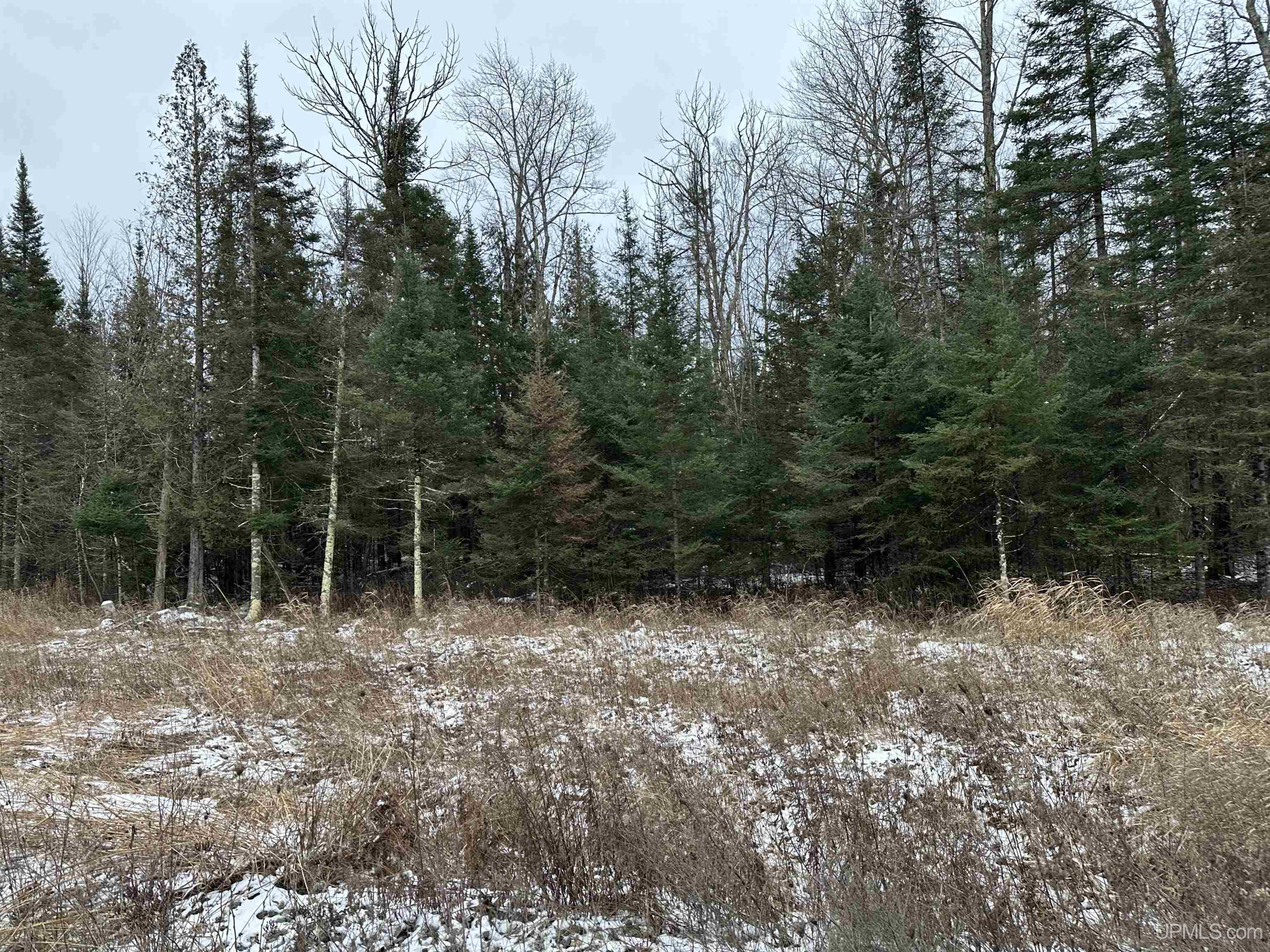 53-a Tbd I Road Escanaba, MI 49829 - Photo 7 of 11