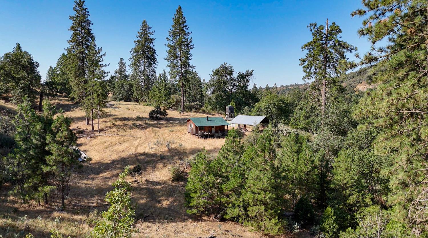 0 Whitaker Forest Road Miramonte, CA 93603 - Photo 44 of 78 a view of a park with large trees