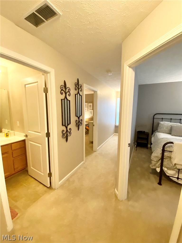 31818 Rustic Ridge North Ridgeville, OH 44039 - Photo 22 of 35 Gallery Image 22