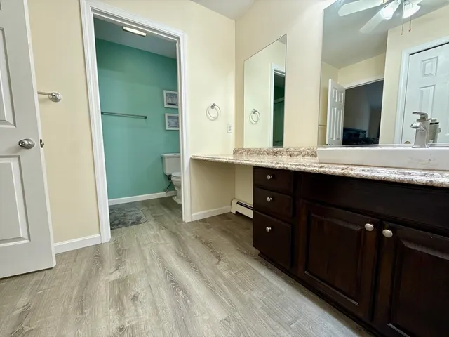 a big yard with plants and large trees