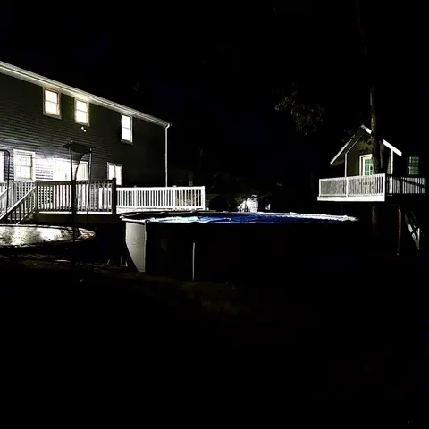 a view of a big yard with plants and large trees