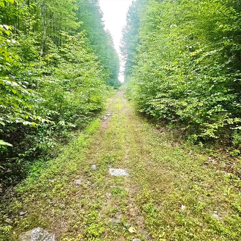a view of lake with houses in the back