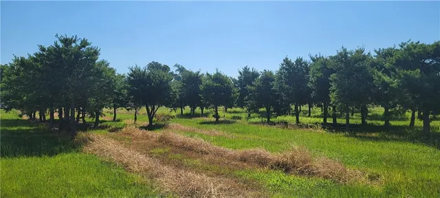 $130,900 | 155 Fulton Street, Natchitoches, LA 71457