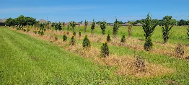 $130,900 | 155 Fulton Street, Natchitoches, LA 71457