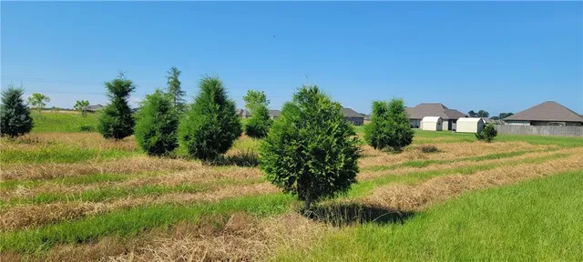 $130,900 | 155 Fulton Street, Natchitoches, LA 71457