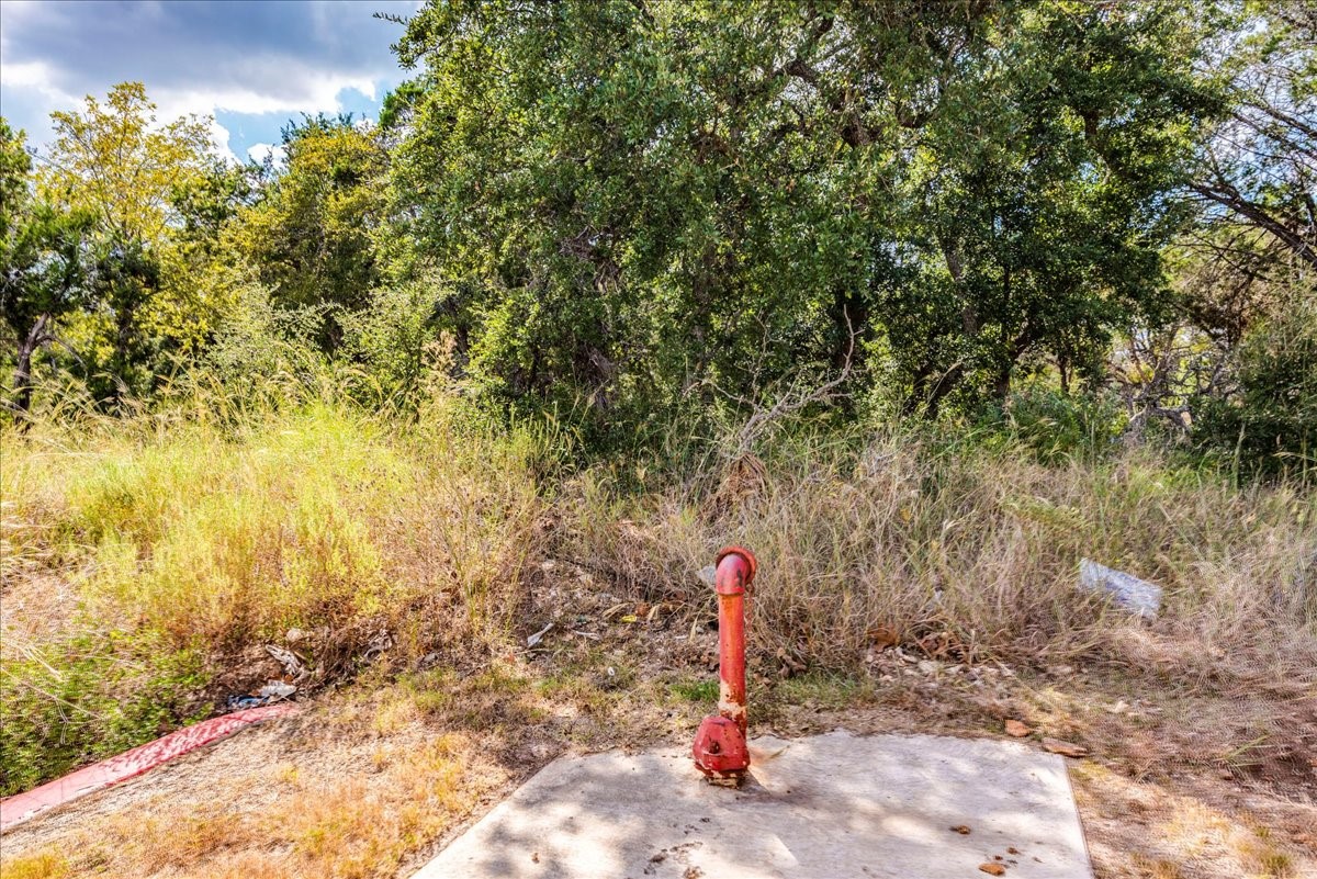 Tbd Founders Park Road Dripping Springs, TX 78620 - Photo 11 of 19