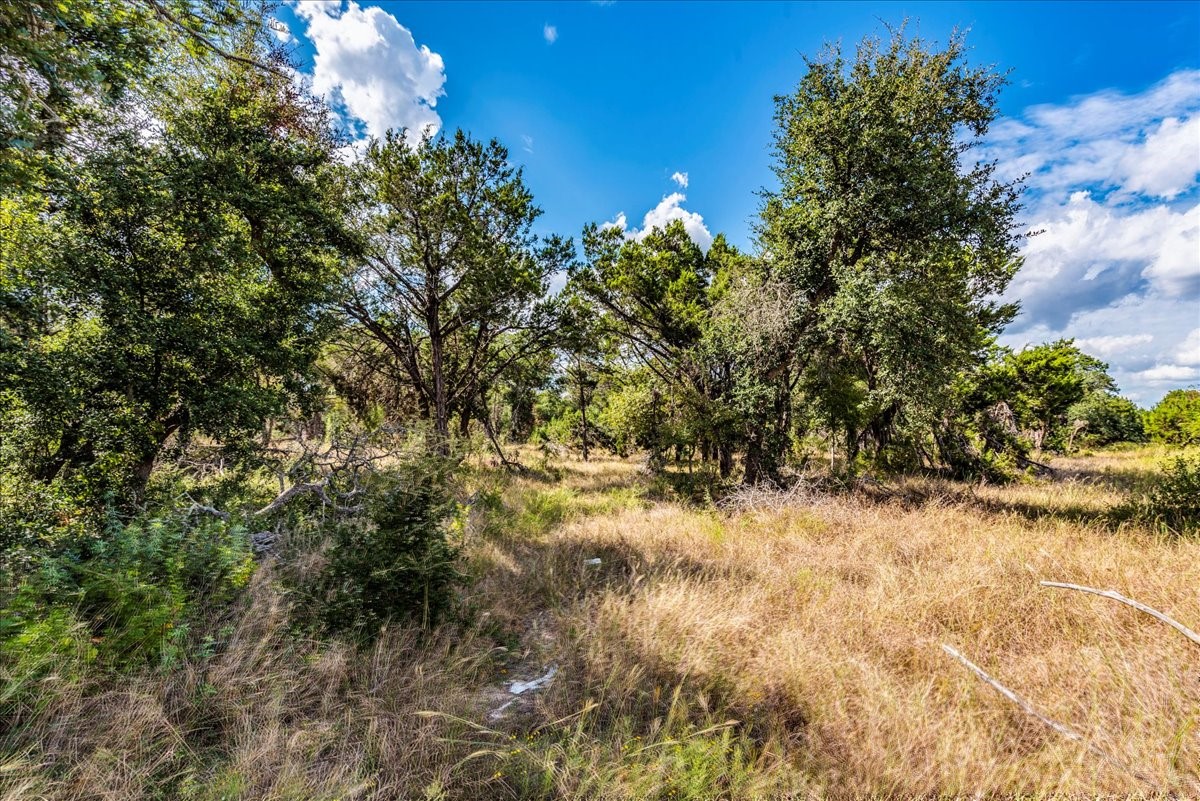 Tbd Founders Park Road Dripping Springs, TX 78620 - Photo 12 of 19