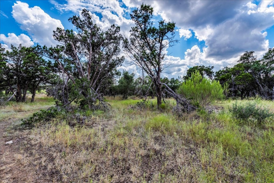 Tbd Founders Park Road Dripping Springs, TX 78620 - Photo 4 of 19 a view of a lush green space