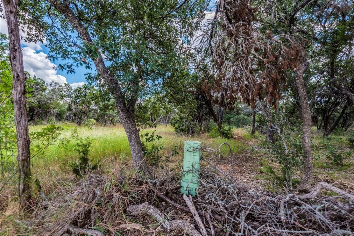Tbd Founders Park Road Dripping Springs, TX 78620 - Photo 6 of 19 a view of a lush green forest