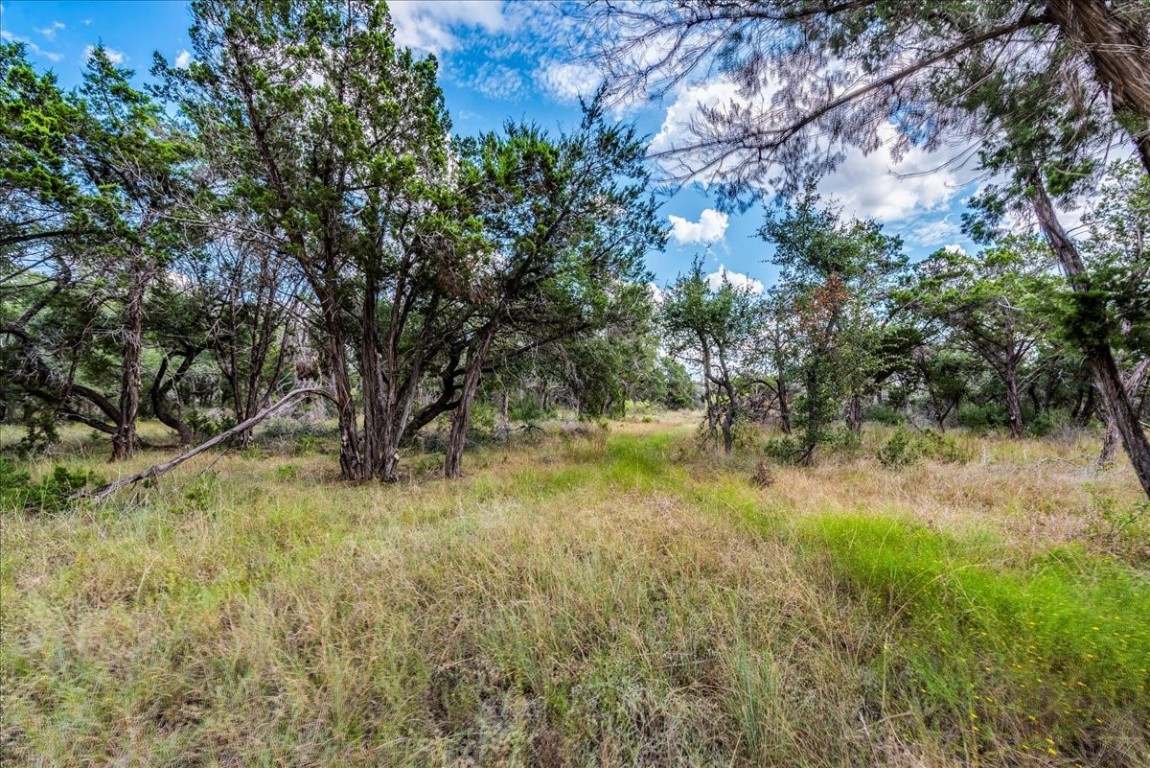 Tbd Founders Park Road Dripping Springs, TX 78620 - Photo 7 of 19 a view of a yard with a tree