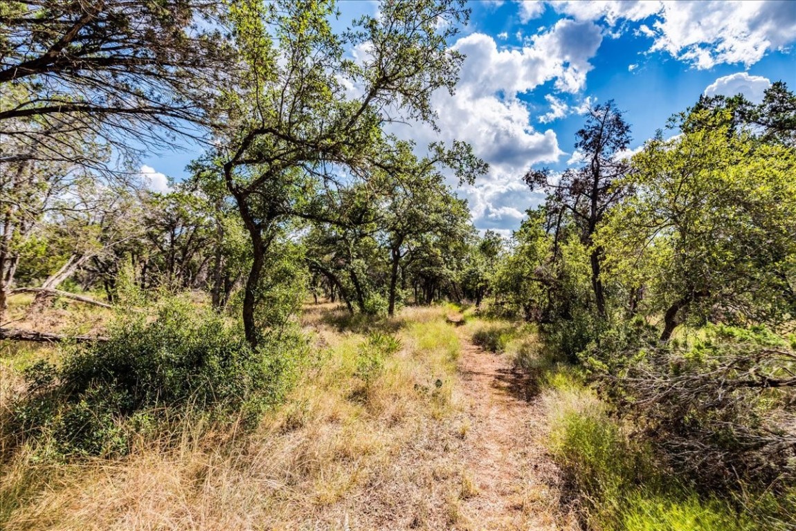 Tbd Founders Park Road Dripping Springs, TX 78620 - Photo 8 of 19 a view of a tree in a yard