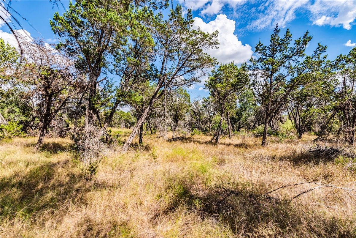 Tbd Founders Park Road Dripping Springs, TX 78620 - Photo 9 of 19