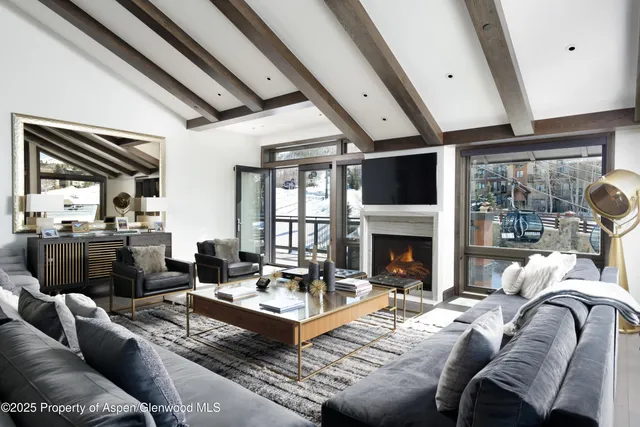 a living room with furniture a fireplace and a floor to ceiling window